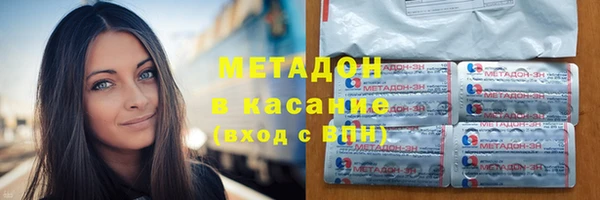 прущие грибы Каменногорск