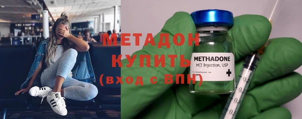 прущие грибы Каменногорск