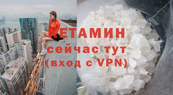 прущие грибы Каменногорск
