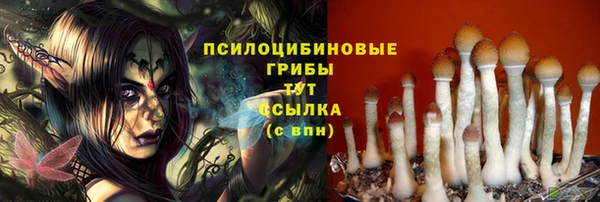 jwh Сясьстрой
