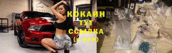 прущие грибы Каменногорск