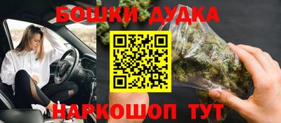 индика Заволжье