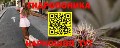 индика Заволжье