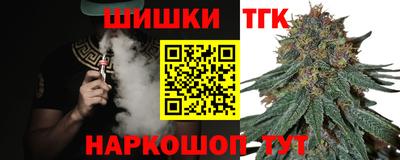 индика Заволжье