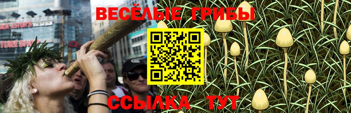 Чапаевск  Псилоцибиновые грибы Psilocybine cubensis  Вход с VPN 