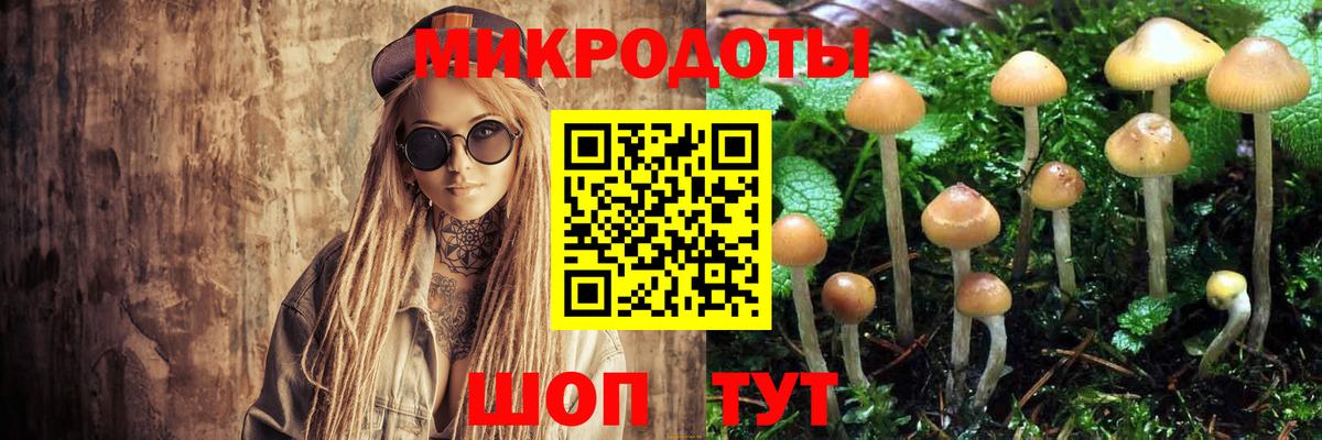 Псилоцибиновые грибы Magic Shrooms  что такое   Чапаевск 