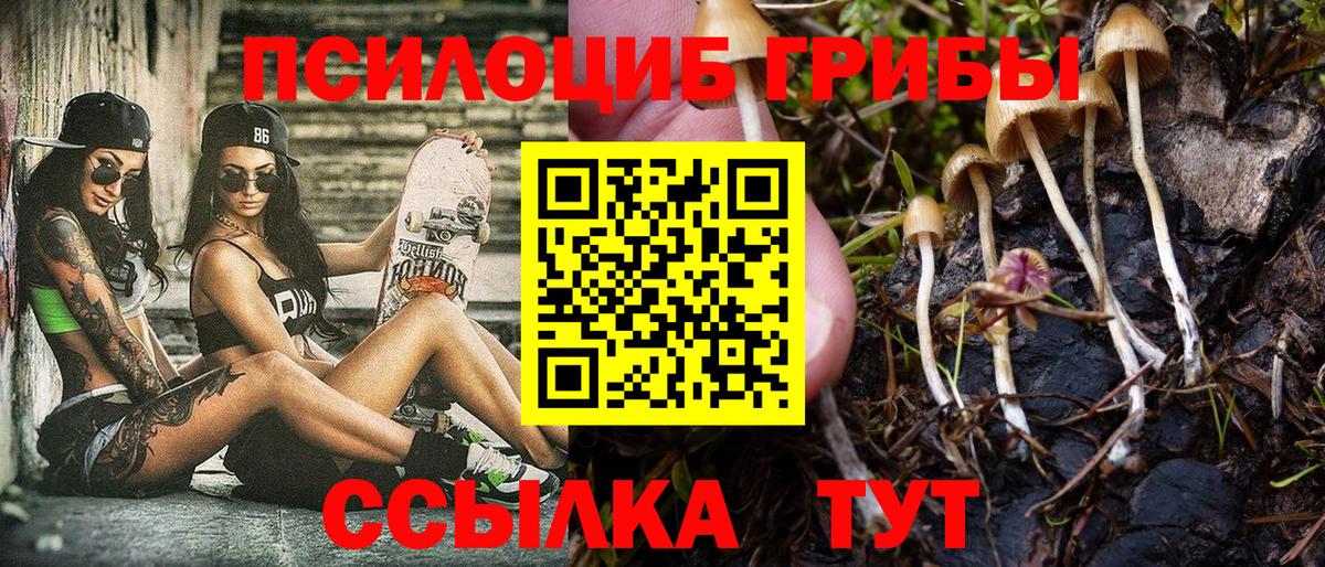 Галлюциногенные грибы Psilocybe Чапаевск